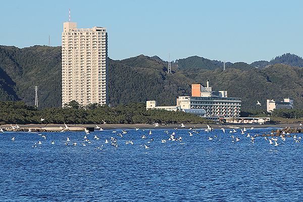 鴨川グランドタワー